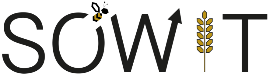 Logo SOWIT